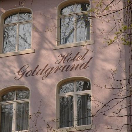 Hotel Goldgrund Meißen Habitación foto